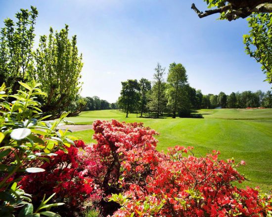 Royal Park Golf & Country Club I Roveri