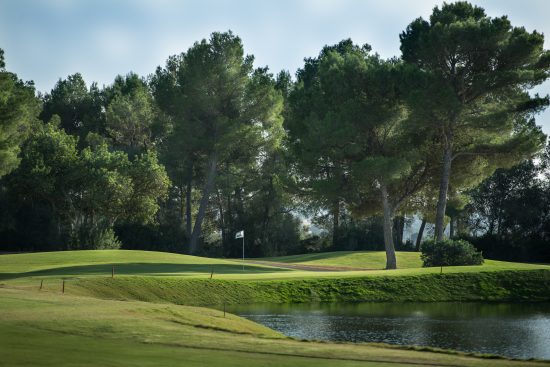 (7.) Foto di T-Golf Palma