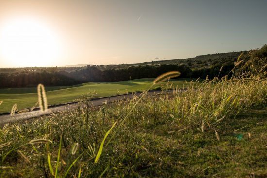 (2.) Foto di T-Golf Palma