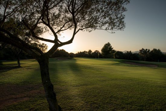 (4.) Foto di T-Golf Palma