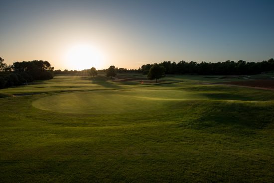 (11.) Foto di T-Golf Palma
