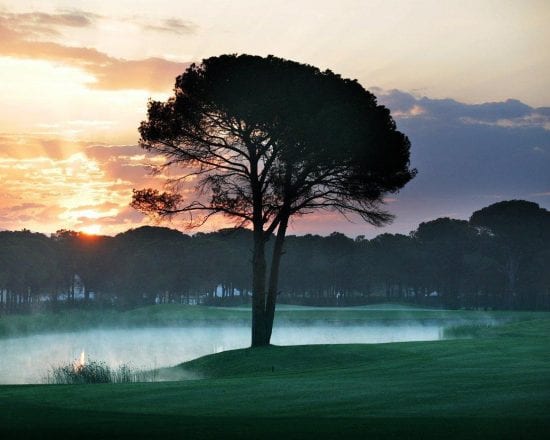 Montgomerie Golf Club