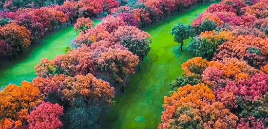 (4.) Foto di Real Club de Golf La Herrería
