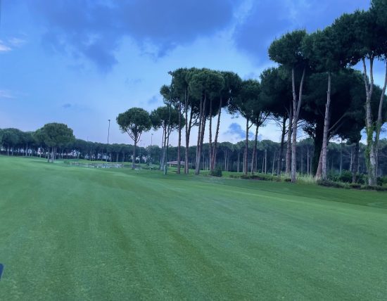 (5.) Foto von Carya Golf Club