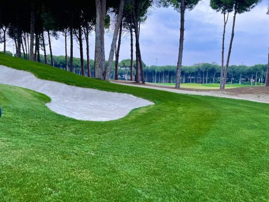 (10.) Foto von Carya Golf Club