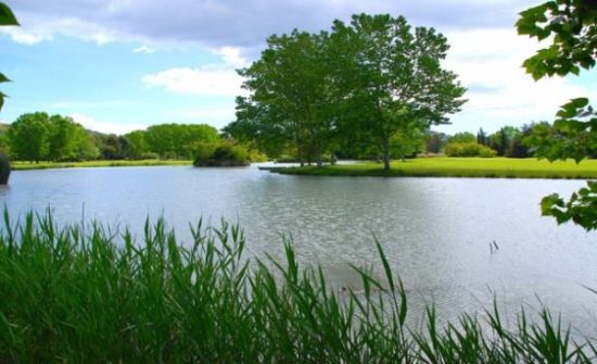 (8.) Foto di Corfu Golf Club