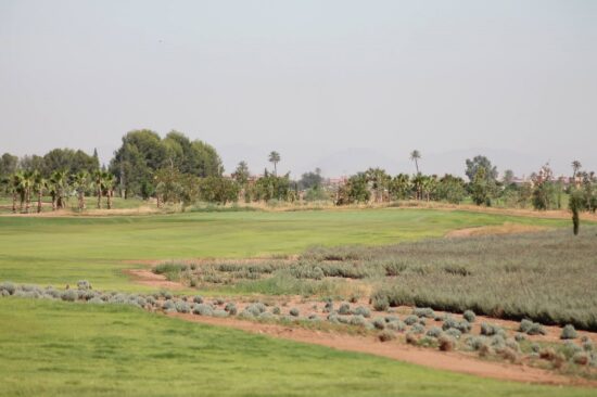 Noria Golf Club