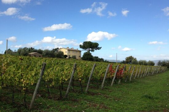 10 nights with breakfast included at Sina Brufani, 4 Green fees per person (2x Perugia and 2x Antognolla) and a winery tour with wine and cheese tasting.
