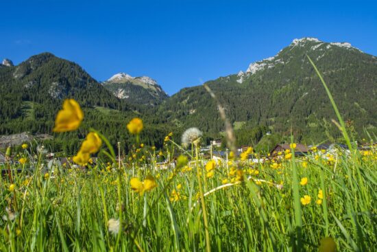 (1.) Photo of Achenkirch