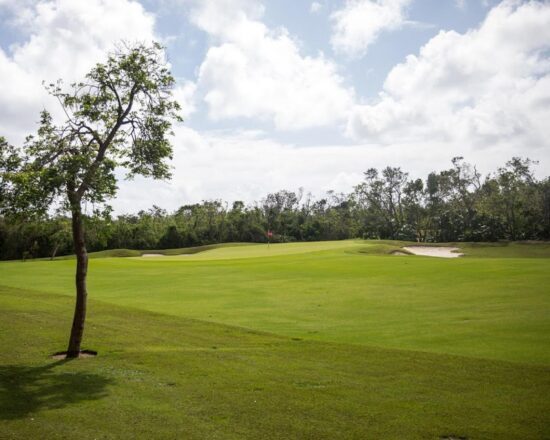 (4.) Foto di Gran Coyote Golf