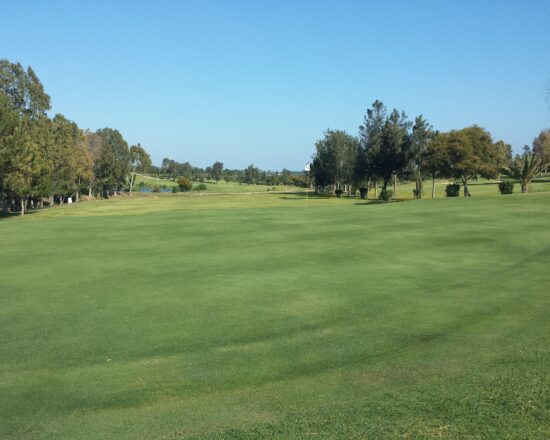Yasmine Golf Course