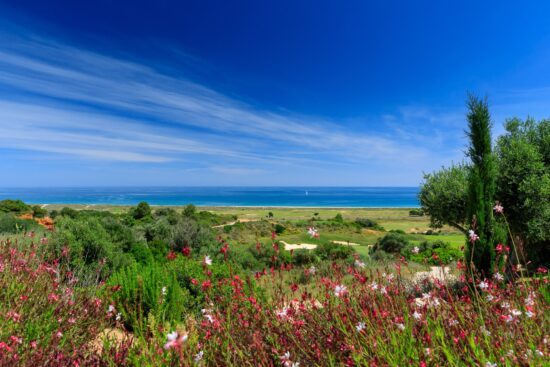 Palmares Golf