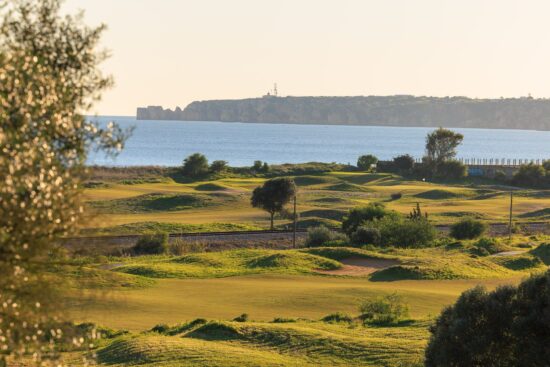 Palmares Golf
