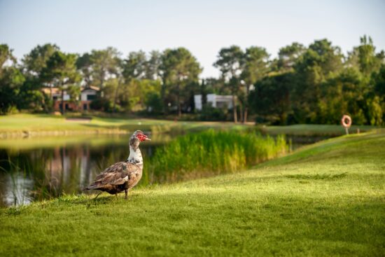 (13.) Foto di Quinta do Peru Golf & Country Club
